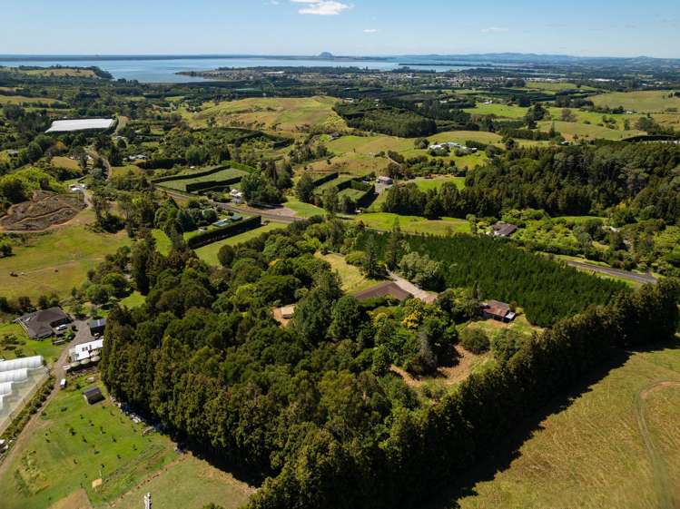 236 Willoughby Road Tahawai_4