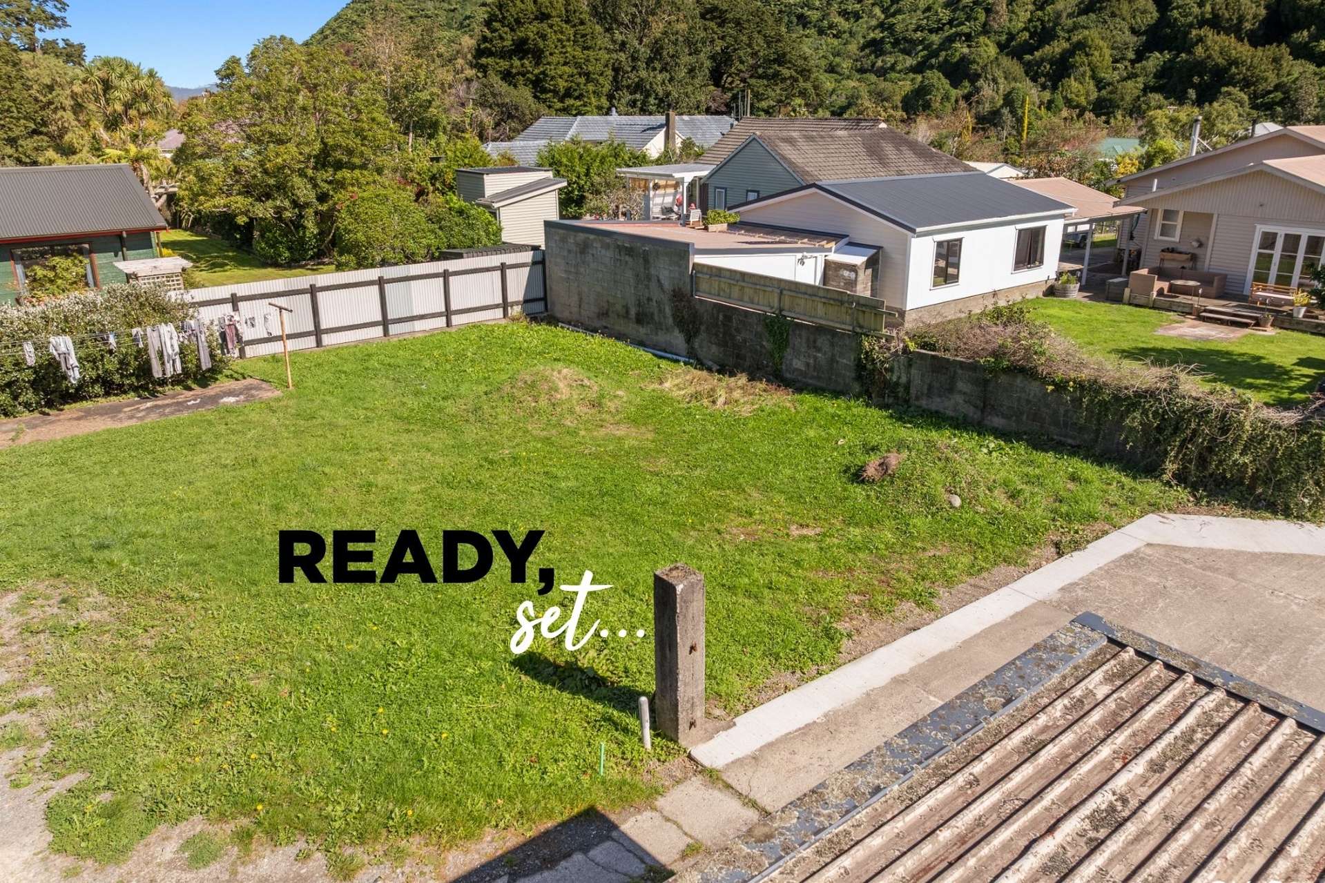 15B Black Beech Birchville_0