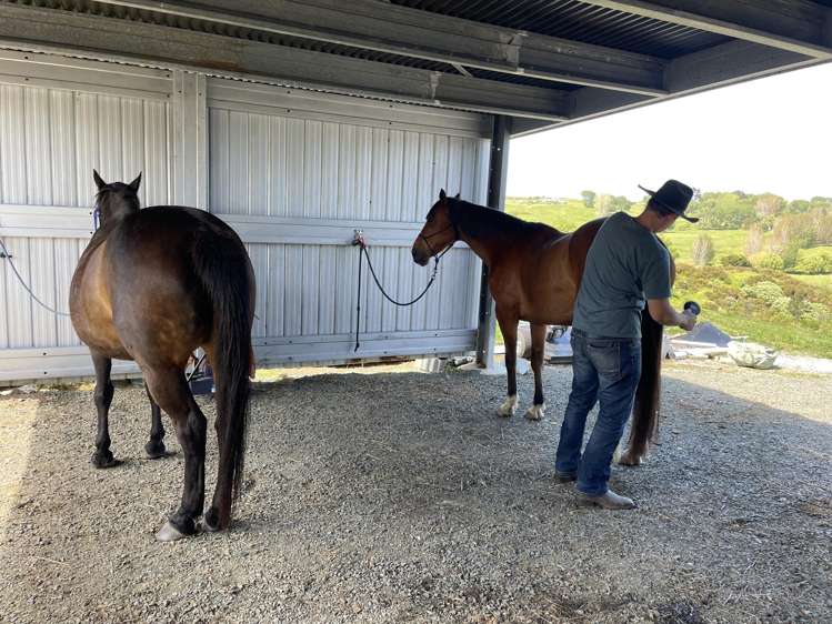 852 Oneriri Road Kaiwaka_54