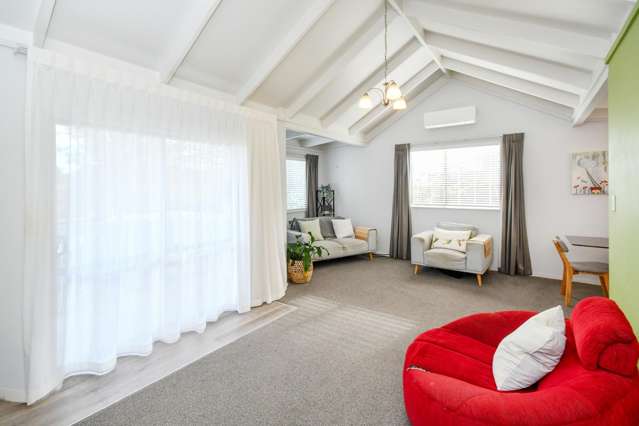 11a Cape Hill Road Pukekohe_3