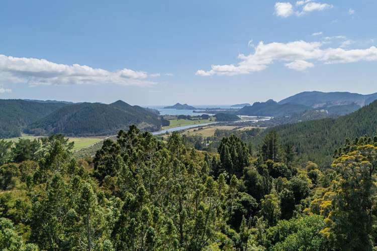 184 Hikuai Settlement Road Hikuai_11