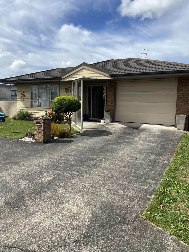 14 Rugby Street Levin_18