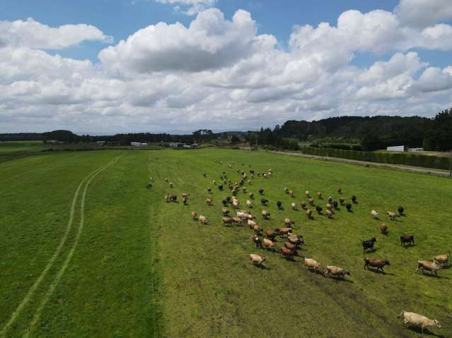 TAWERA DAIRY FARM