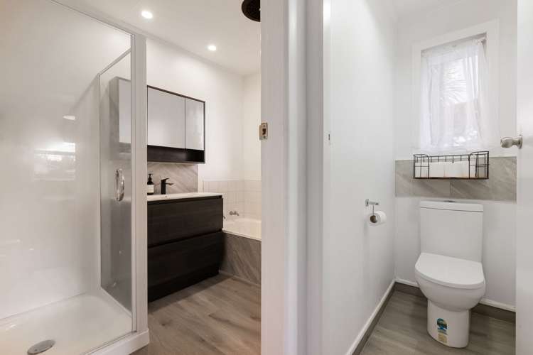 41 Tongariro Street Chartwell_9