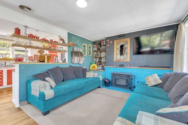 46 Parsons Street Vogeltown_2