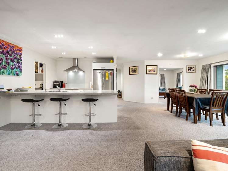 52 Douglas Street Allanton_3