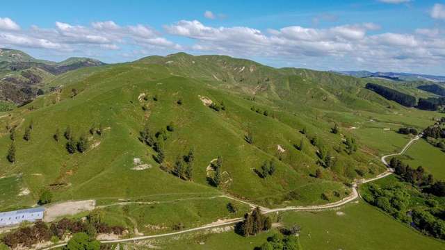 1614 Hinemoa Valley Road Pahiatua_2