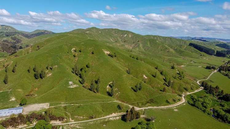 1614 Hinemoa Valley Road Pahiatua_2