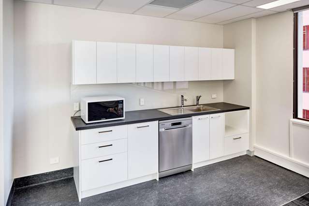 11 Aurora Terrace Wellington Central_4