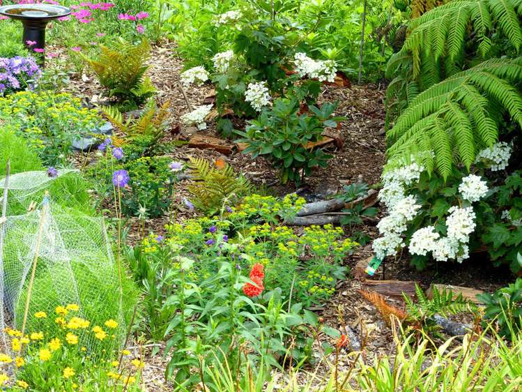 53 Kitewaho Road Swanson_104