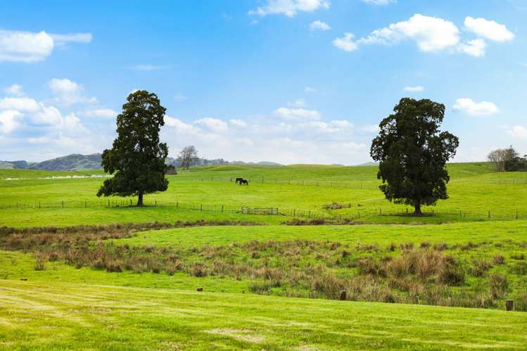 223B Waerenga Road Te Kauwhata_17