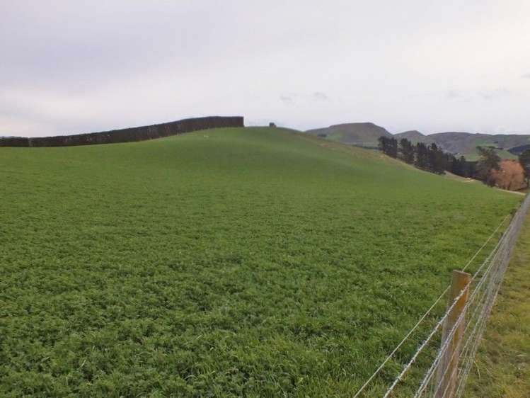 1006 Glenmark Drive Waipara_1