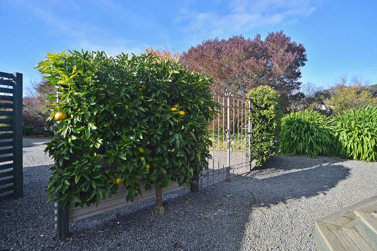 4 Venice Street Martinborough_18