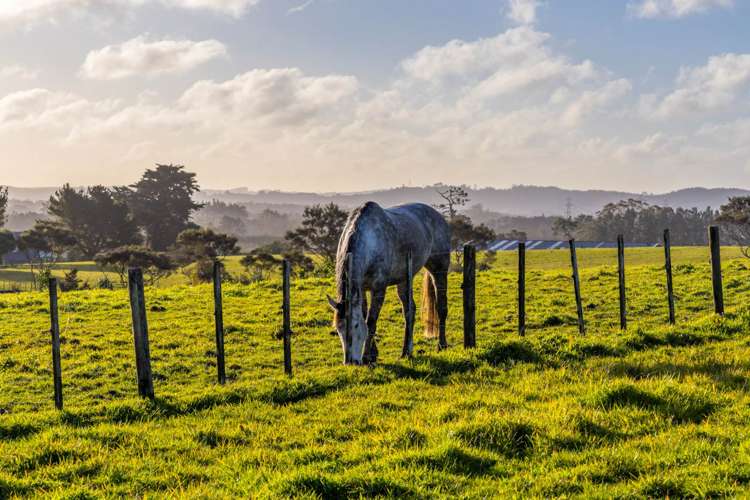 93 Nixon Road Taupaki_3