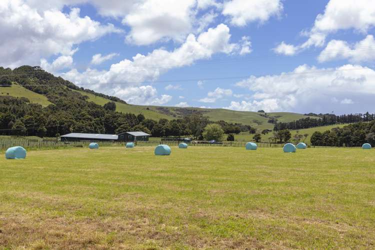 183 Tapu Bush Road Whangaripo_18