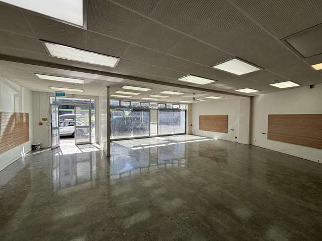 1/16 Kent Terrace Mt Victoria_1