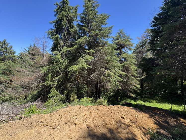 Lot 2 Brown Road Kawhia_18