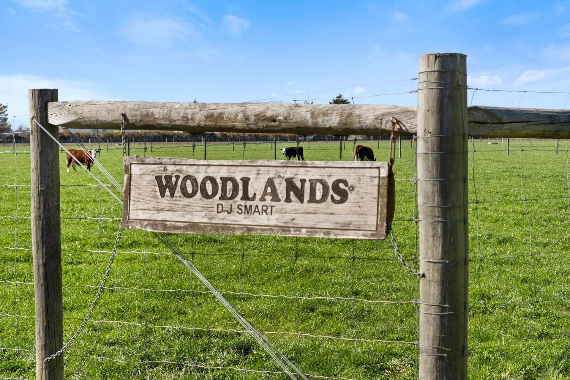 1467 Boundary Road Ashburton_0
