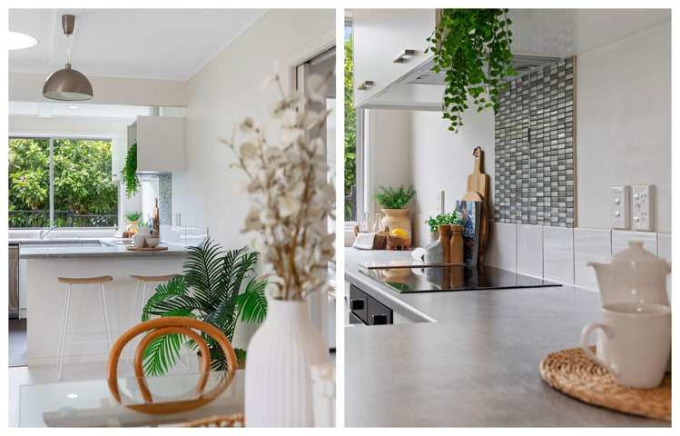 11B Taupo Avenue Mt Maunganui_10