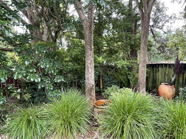 106 Sturges Road Henderson_27