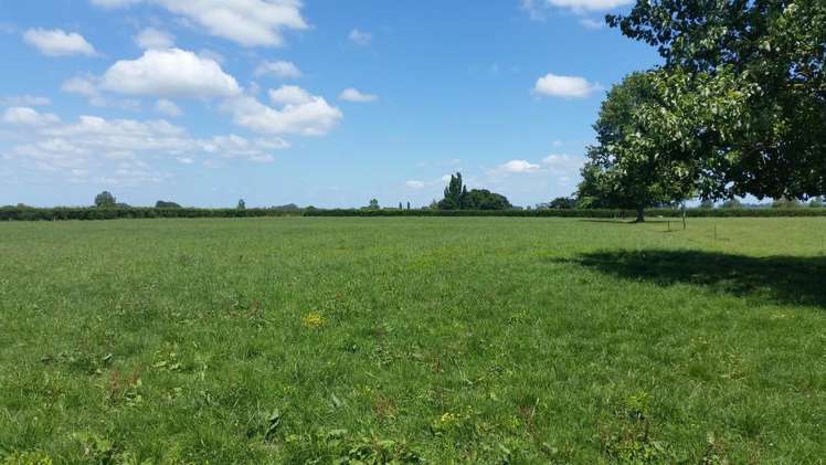 201 Steele Road Manawaru_14