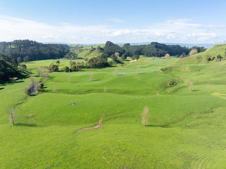 236 Taotaoroa Road Matamata_13