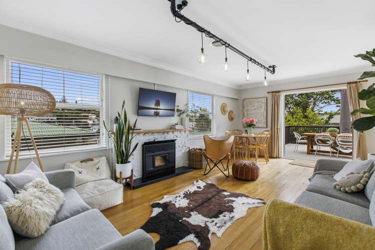 163 Bellevue Road Bellevue_9