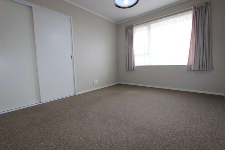 61b Nelson Street Springlands_10