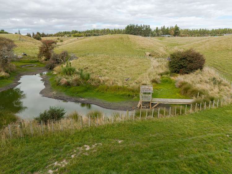 151 Mount Stewart Halcombe Road Sanson_51