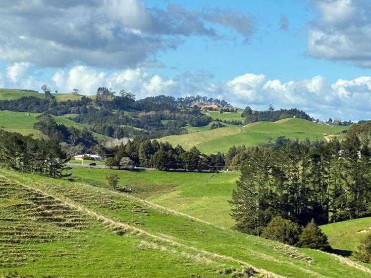 Paparoa Road Mangapai_11