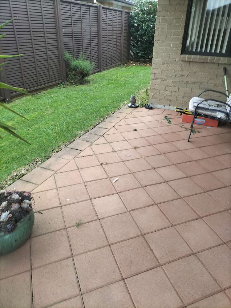 9 Malta Crescent Katikati_6