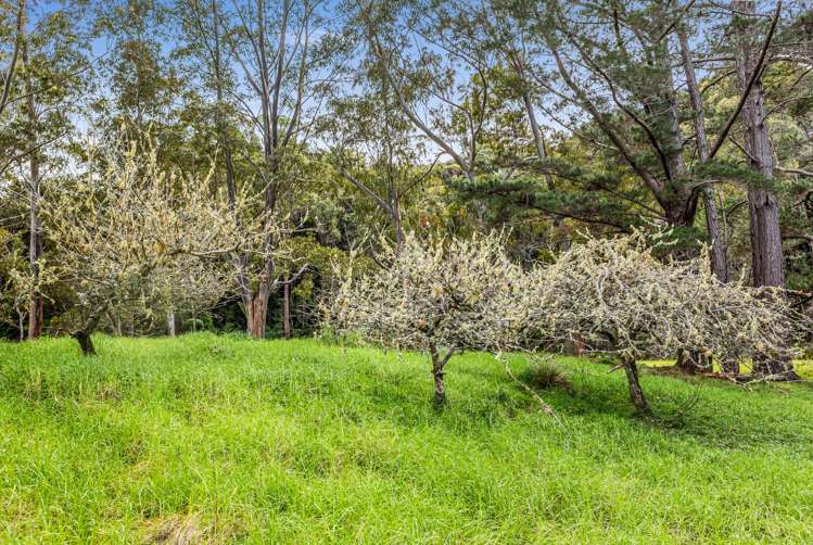 915 Fairburn Road Kaitaia_27