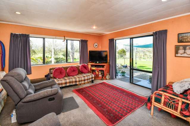 981 Hauraki Road Turua_4