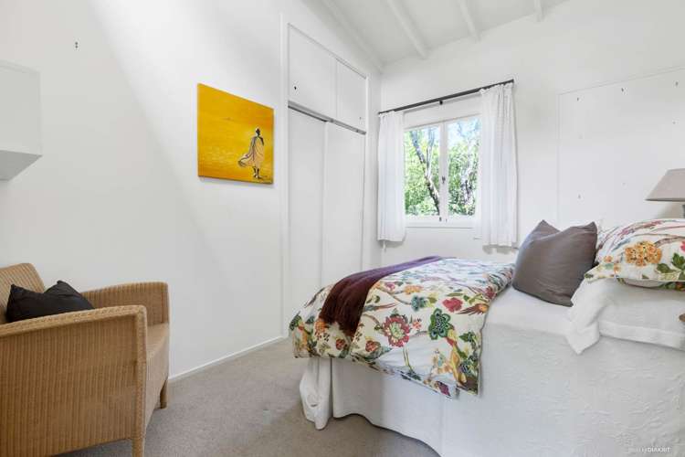 133 Ara-Kotinga Whitford_23