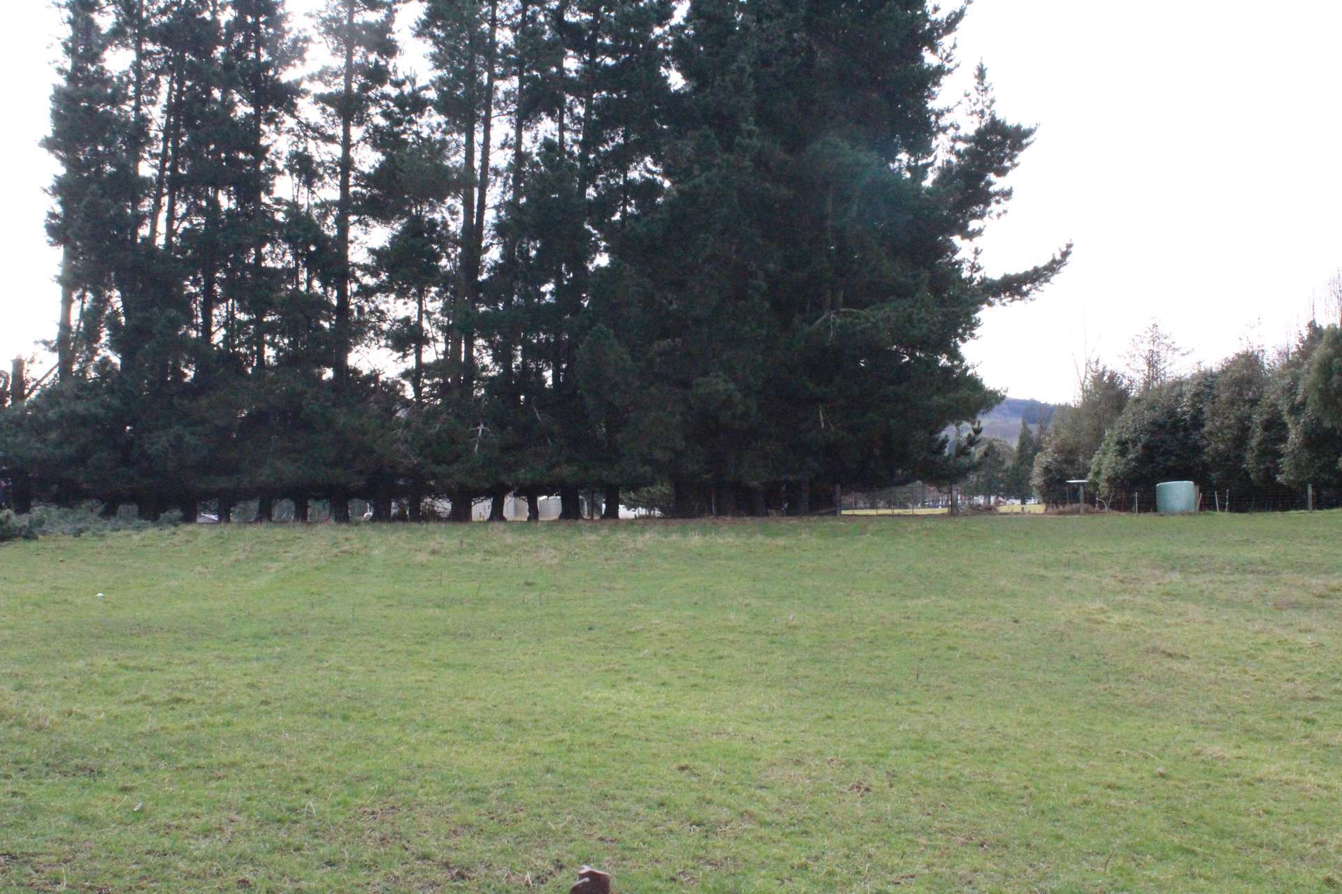 59 Meadow Street Lumsden_0