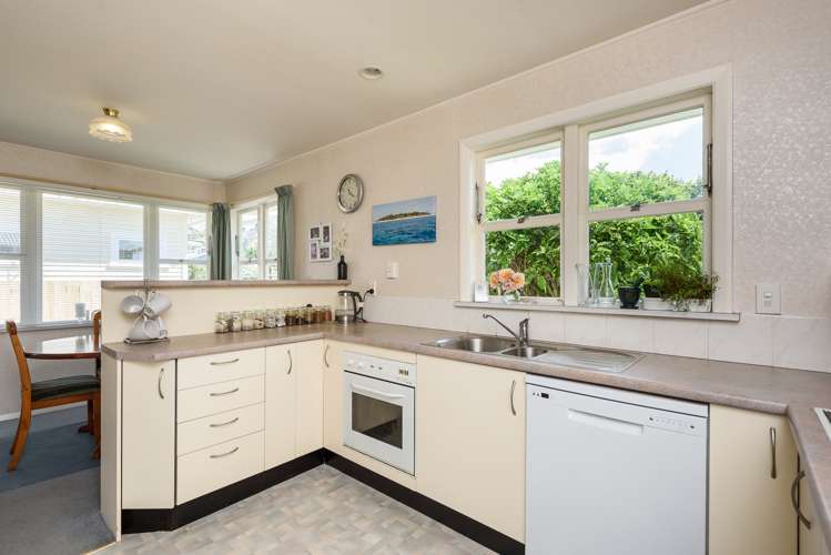 13 Brussels Street Miramar_3