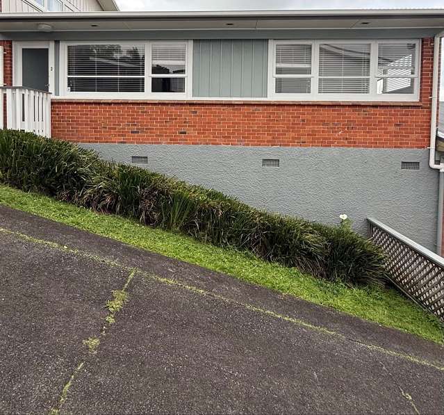 2/16 Buttle Street Remuera_1