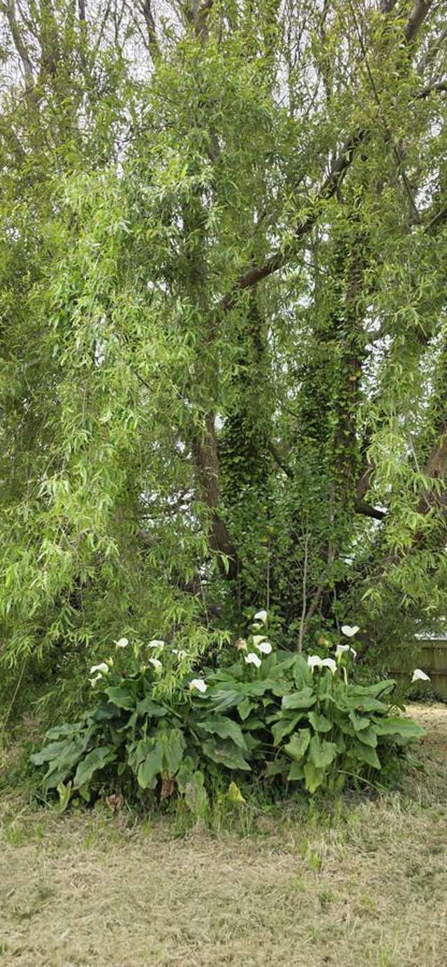 86 Rangiuru Road Otaki Beach_4