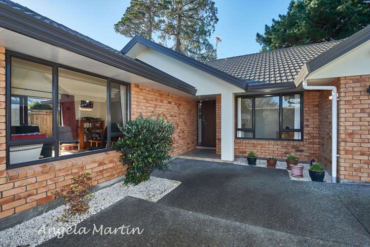 28a Rainforth Street Roslyn_1