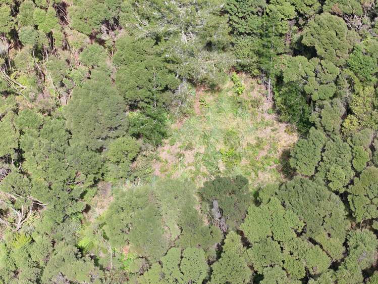 Te Wahapu Road_5