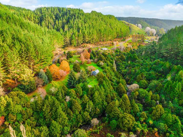 2005 Ongarue Stream Road Waimiha_21