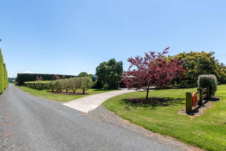 154B Wairoa Road Te Puna_6