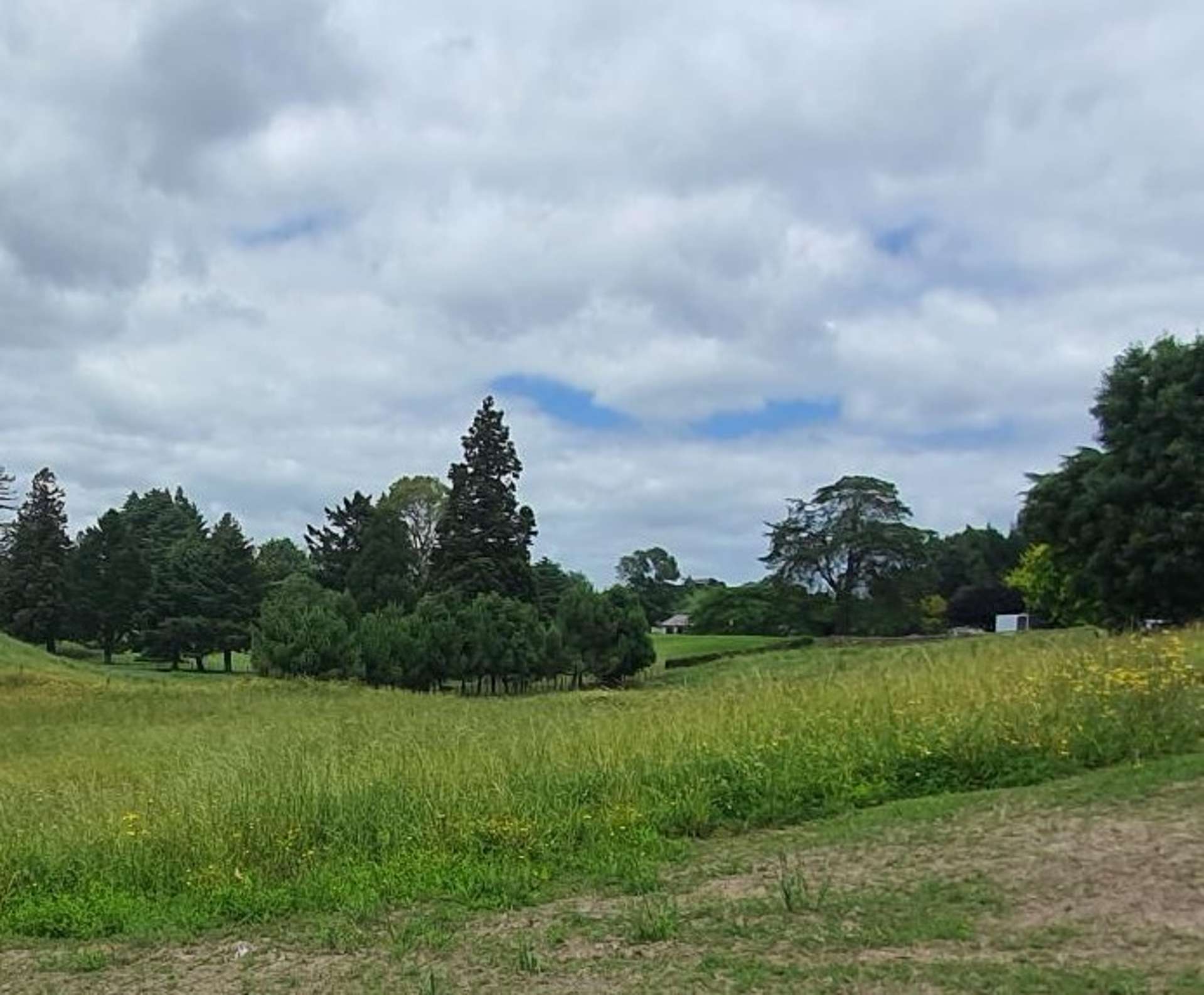 Lot 19/7 Maple Drive Putaruru_0