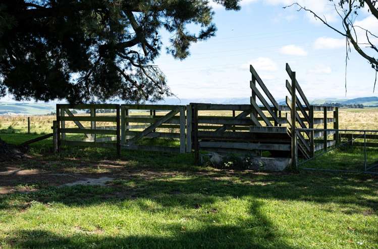 439 Howell Road Pleasant Point_20