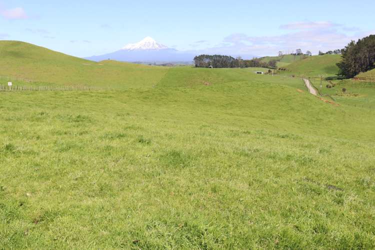 318 Kupara Road Tariki_29