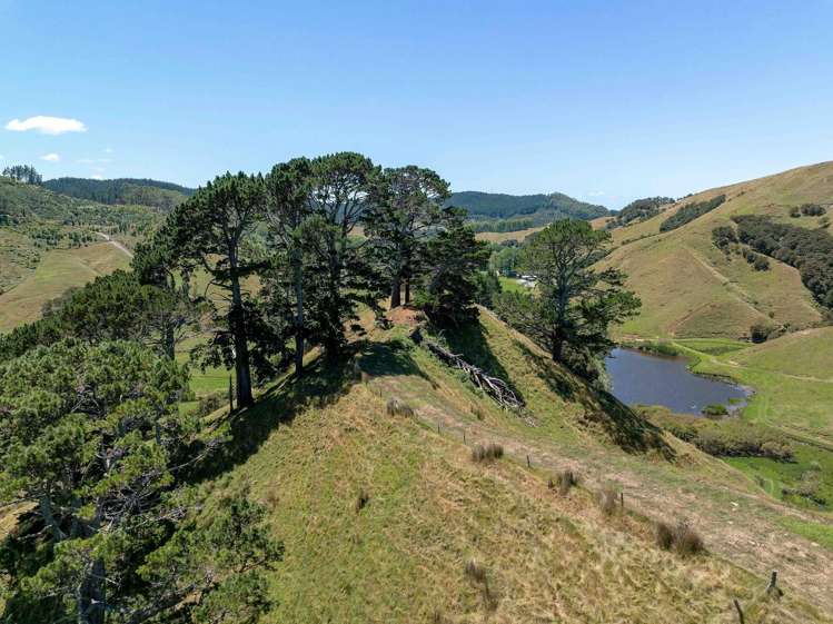 273 Wentworth Valley Road Whangamatā_13