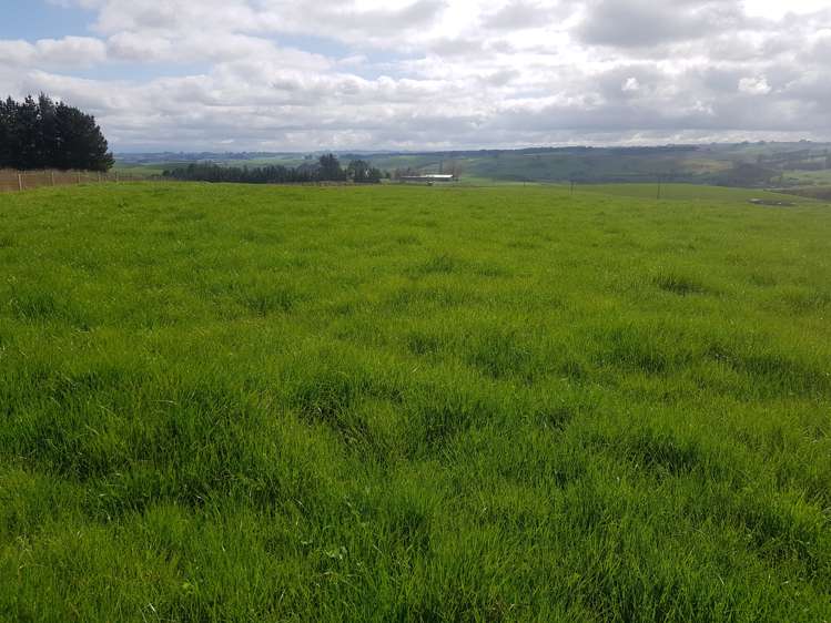 173 Soper Road Clinton and Surrounds_9