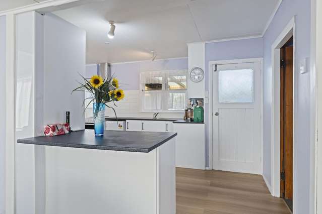 17 Tuke Street Normanby_1