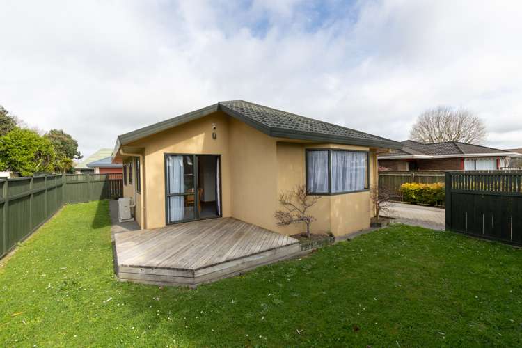 284 College Street West End_13