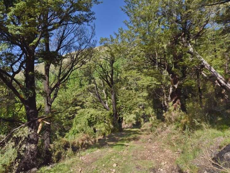 446 Glentui Bush Road Glentui_9